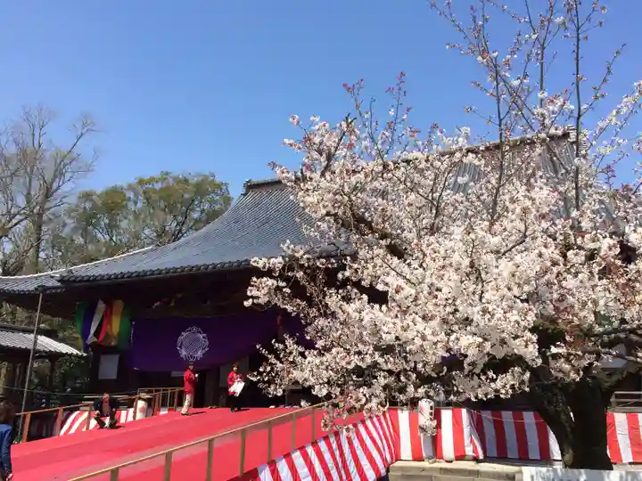 善導寺(福岡県)