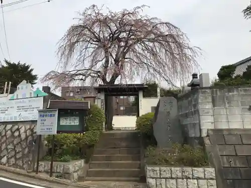 青蓮寺の山門