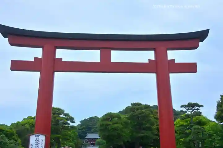 鶴岡八幡宮の鳥居