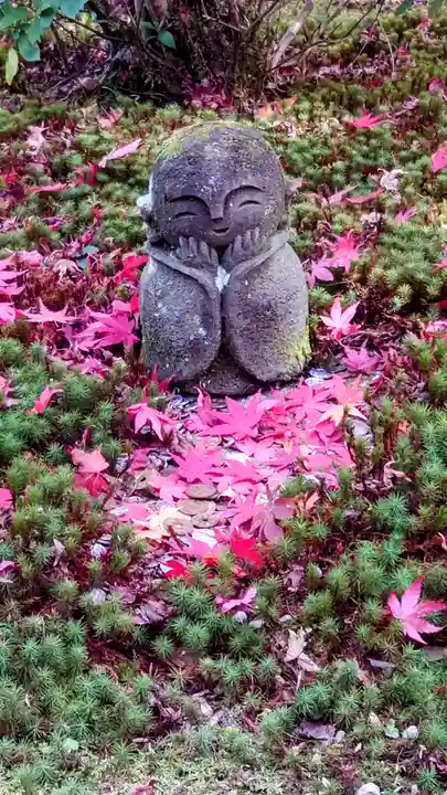 圓光寺(京都府)