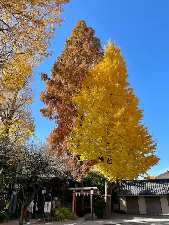 千住本氷川神社(東京都)