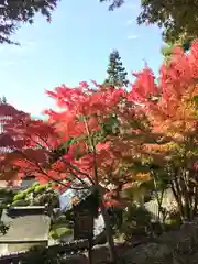 恩智神社の建物その他