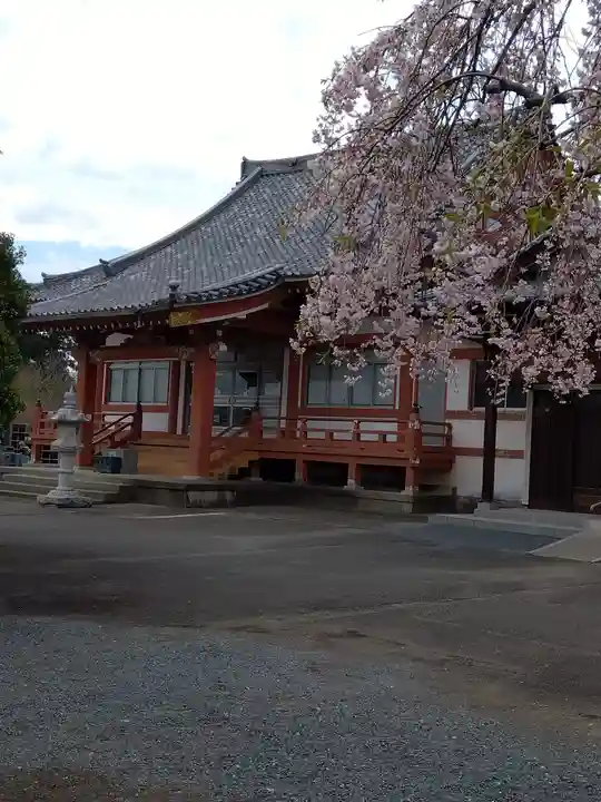 高藏寺(埼玉県)