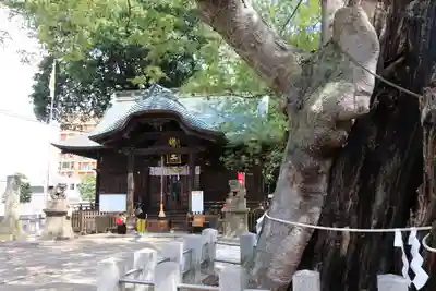 阿邪訶根神社の本殿・本堂