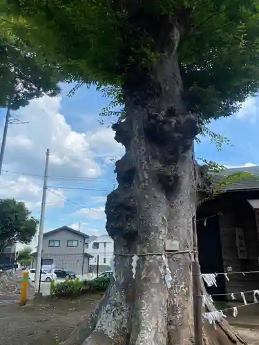 髙部屋神社(神奈川県)