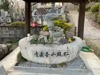 音楽寺の手水舎