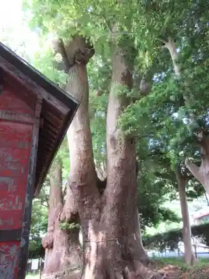部田神社のその他建物
