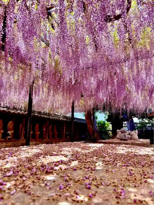 潮音寺(愛知県)