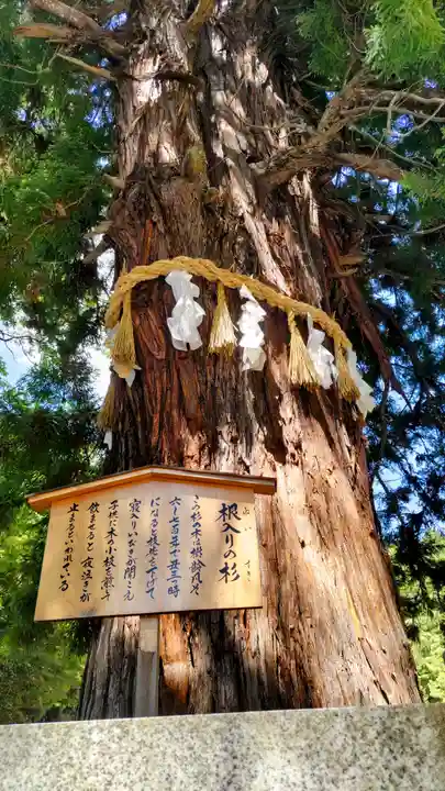 諏訪大社下社秋宮(長野県)