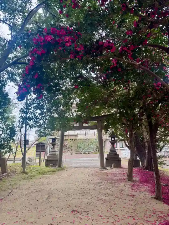 凉森神社の{uncategorized: "未分類", other: "その他", undefined: "問題あり", building: "その他建物", grave: "お墓", sacred_gate: "鳥居", guardian: "狛犬", statue: "像", buddha: "仏像", history: "歴史", nature: "自然", garden: "庭園", animal: "動物", pagoda: "塔", temizu: "手水舎", mountain_gate: "山門・神門", sanctuary: "本殿・本堂", subordinate: "末社・摂社", art: "芸術", scenery: "景色", jizo: "地蔵", ema: "絵馬", goshuin: "御朱印", omikuji: "おみくじ", items: "授与品その他", amulet: "お守り", goshuincho: "御朱印帳", eats: "食事", festival: "お祭り", votive_dance: "神楽", shichigosan: "七五三参", wedding: "結婚式", experience: "体験その他", initially: "初詣", around: "周辺", anti_infection: "感染症対策"}
