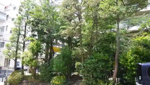 金刀比羅宮東京分社の自然