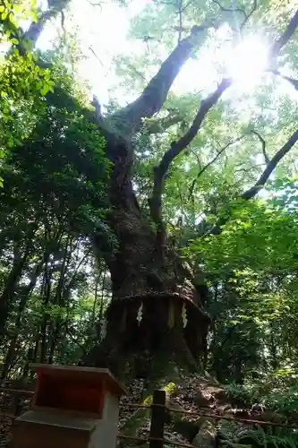 熱田神宮のその他建物