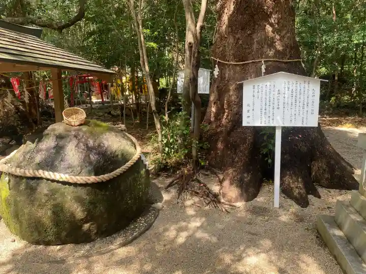 花窟神社の{uncategorized: "未分類", other: "その他", undefined: "問題あり", building: "その他建物", grave: "お墓", sacred_gate: "鳥居", guardian: "狛犬", statue: "像", buddha: "仏像", history: "歴史", nature: "自然", garden: "庭園", animal: "動物", pagoda: "塔", temizu: "手水舎", mountain_gate: "山門・神門", sanctuary: "本殿・本堂", subordinate: "末社・摂社", art: "芸術", scenery: "景色", jizo: "地蔵", ema: "絵馬", goshuin: "御朱印", omikuji: "おみくじ", items: "授与品その他", amulet: "お守り", goshuincho: "御朱印帳", eats: "食事", festival: "お祭り", votive_dance: "神楽", shichigosan: "七五三参", wedding: "結婚式", experience: "体験その他", initially: "初詣", around: "周辺", anti_infection: "感染症対策"}