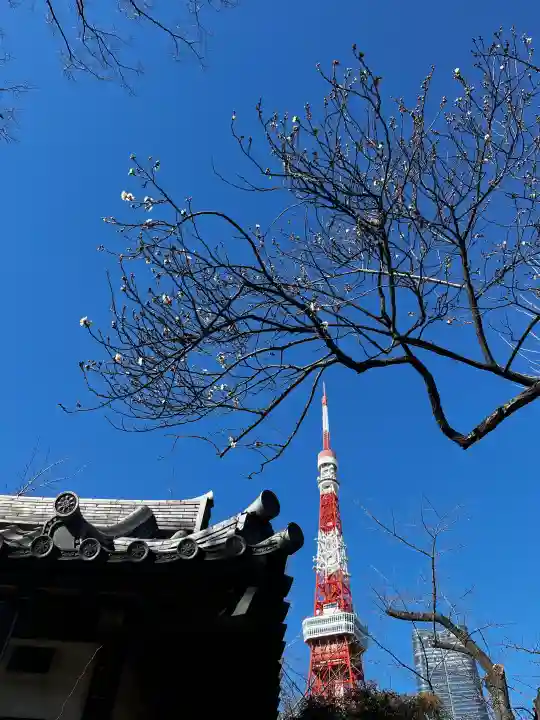 増上寺の{uncategorized: "未分類", other: "その他", undefined: "問題あり", building: "その他建物", grave: "お墓", sacred_gate: "鳥居", guardian: "狛犬", statue: "像", buddha: "仏像", history: "歴史", nature: "自然", garden: "庭園", animal: "動物", pagoda: "塔", temizu: "手水舎", mountain_gate: "山門・神門", sanctuary: "本殿・本堂", subordinate: "末社・摂社", art: "芸術", scenery: "景色", jizo: "地蔵", ema: "絵馬", goshuin: "御朱印", omikuji: "おみくじ", items: "授与品その他", amulet: "お守り", goshuincho: "御朱印帳", eats: "食事", festival: "お祭り", votive_dance: "神楽", shichigosan: "七五三参", wedding: "結婚式", experience: "体験その他", initially: "初詣", around: "周辺", anti_infection: "感染症対策"}