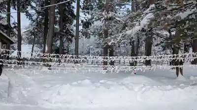上川神社のおみくじ