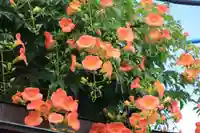 大鏑神社の自然