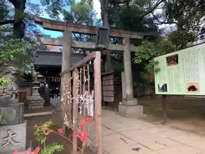 赤坂氷川神社の鳥居