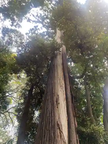 麻賀多神社奥宮(千葉県)