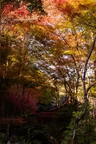 大矢田神社(岐阜県)