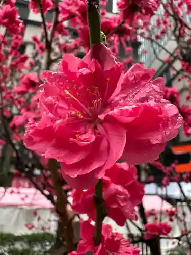 福徳神社（芽吹稲荷）の自然