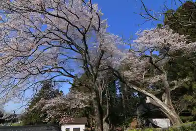 諏訪神社の景色