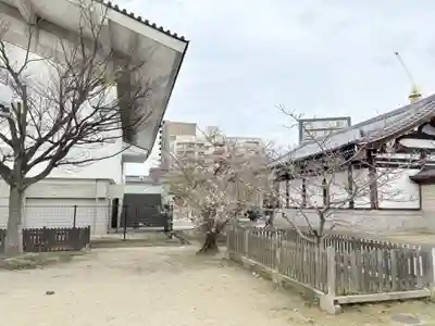 四天王寺(大阪府)