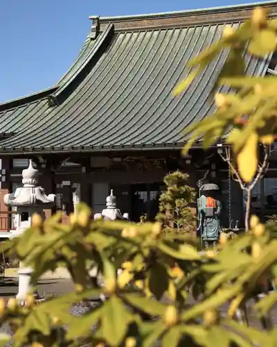 泉竜寺(乙女不動尊)(栃木県)