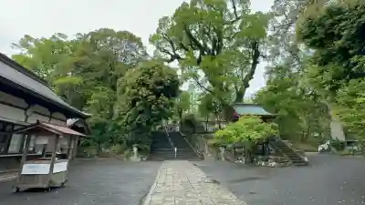 鹿児島神宮(鹿児島県)