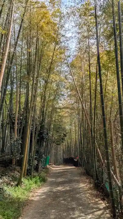 稲荷神社(灰方鎮座)(京都府)