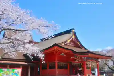 富士山本宮浅間大社(静岡県)