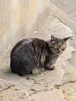 出世稲荷神社(東京都)