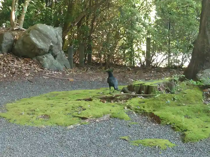 倭姫宮(皇大神宮別宮)(三重県)