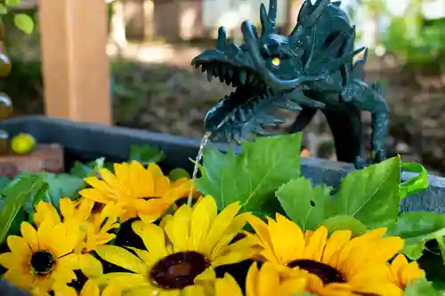 下野 星宮神社の手水舎