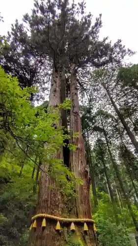 御岩神社(茨城県)