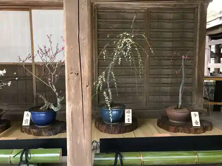 石山寺のその他建物