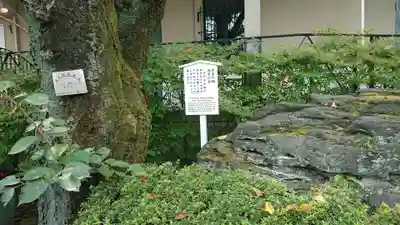 泉岳寺のその他建物