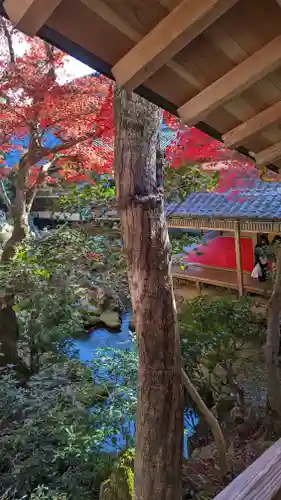 柳谷観音　楊谷寺(京都府)