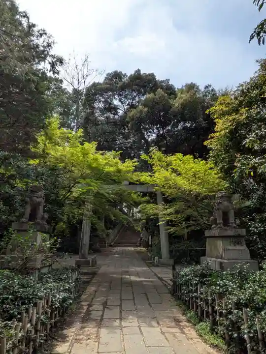 赤坂氷川神社(東京都)