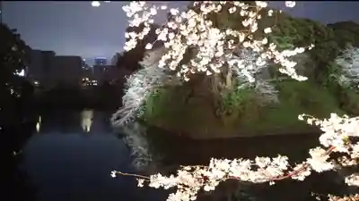 明治神宮(東京都)