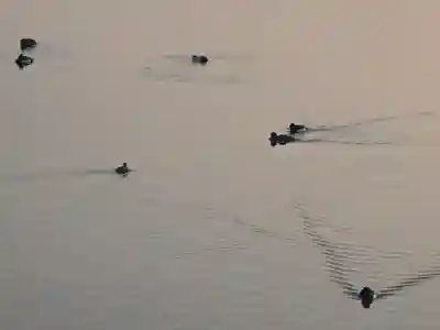 大龍寺(奈良県)