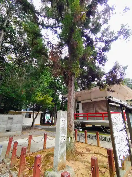 米津神社(米津町)の自然