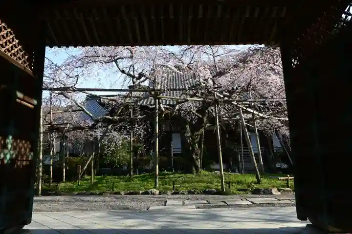 毘沙門堂門跡(京都府)