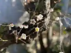 伊勢の国 四天王寺の自然