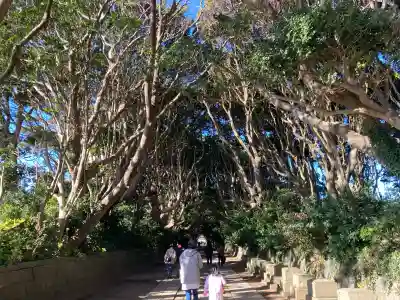 酒列磯前神社の{uncategorized: "未分類", other: "その他", undefined: "問題あり", building: "その他建物", grave: "お墓", sacred_gate: "鳥居", guardian: "狛犬", statue: "像", buddha: "仏像", history: "歴史", nature: "自然", garden: "庭園", animal: "動物", pagoda: "塔", temizu: "手水舎", mountain_gate: "山門・神門", sanctuary: "本殿・本堂", subordinate: "末社・摂社", art: "芸術", scenery: "景色", jizo: "地蔵", ema: "絵馬", goshuin: "御朱印", omikuji: "おみくじ", items: "授与品その他", amulet: "お守り", goshuincho: "御朱印帳", eats: "食事", festival: "お祭り", votive_dance: "神楽", shichigosan: "七五三参", wedding: "結婚式", experience: "体験その他", initially: "初詣", around: "周辺", anti_infection: "感染症対策"}