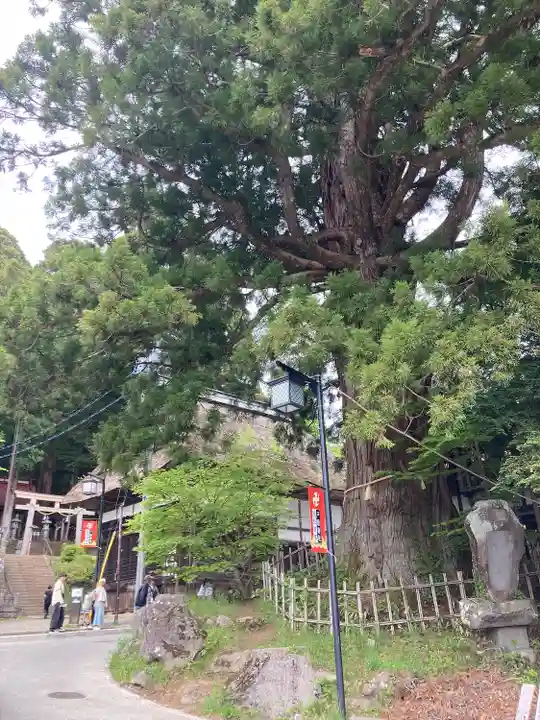 戸隠神社中社(長野県)