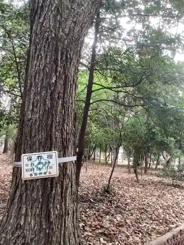 八幡社（柏井町）の自然