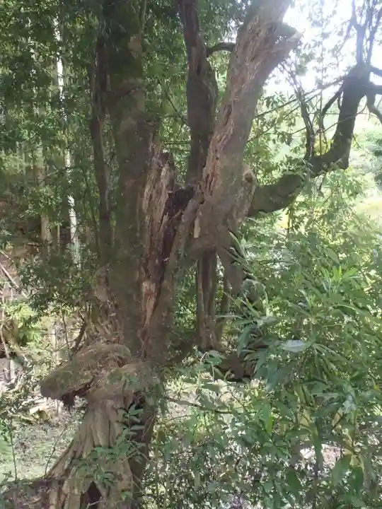 神明神社(愛知県)