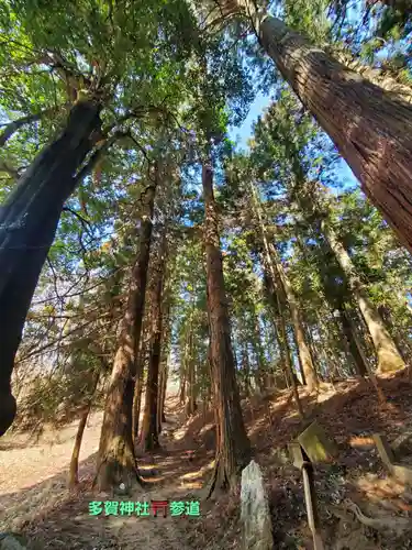 鹿島大神宮(福島県)
