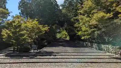 光明寺(粟生光明寺)のその他建物