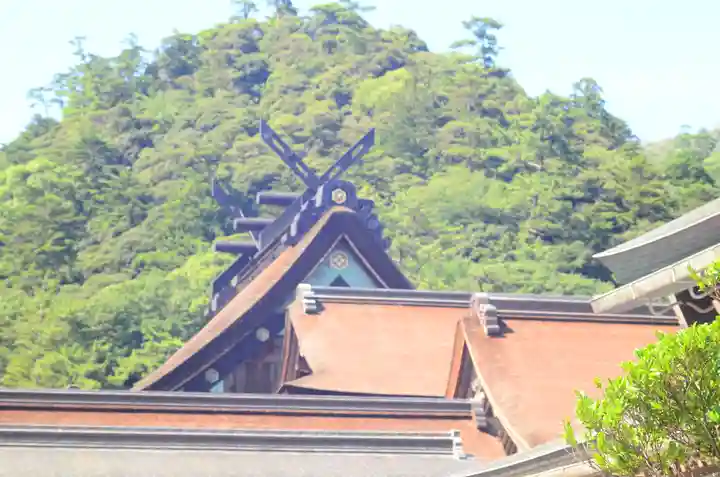 出雲大社(島根県)
